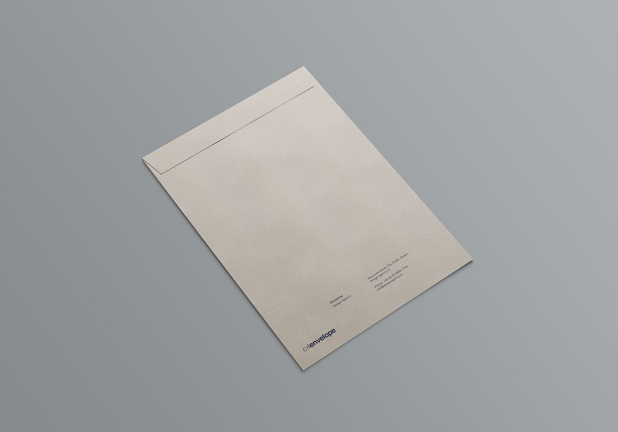 C4标准尺寸信封设计图样机 C4 Envelope Mockup插图(5)