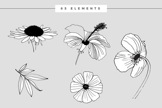 创意手绘花卉插画图案纹理素材 Graphic Flowers Patterns & Elements插图(9)