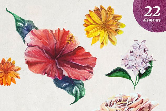 高品质水彩花卉插画合集 Florist: Watercolor Flowers Set插图(1)