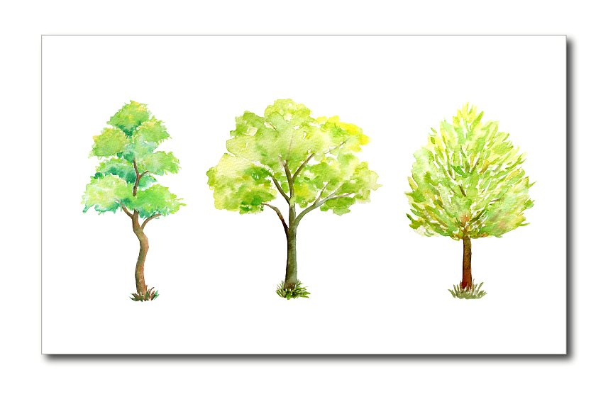 手绘水彩冬季树木系列插画素材 Watercolor Tree Illustration插图(1)