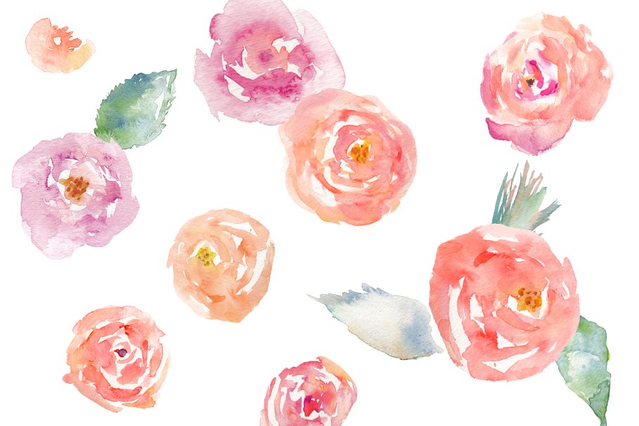 花园玫瑰水彩剪贴画 Garden Roses Watercolor Clip Art插图(1)
