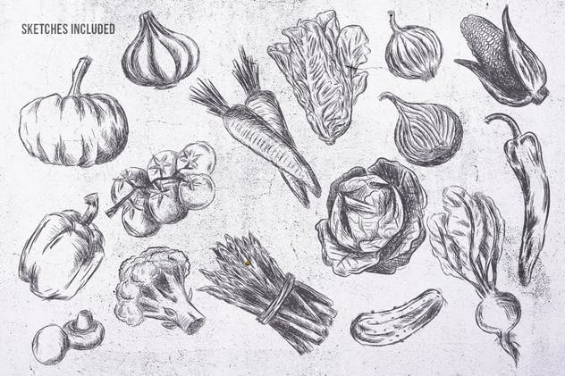 粉笔画素描风格三折页西式快餐设计模板 Sketch Trifold Food Menu A4 and US Letter插图(6)