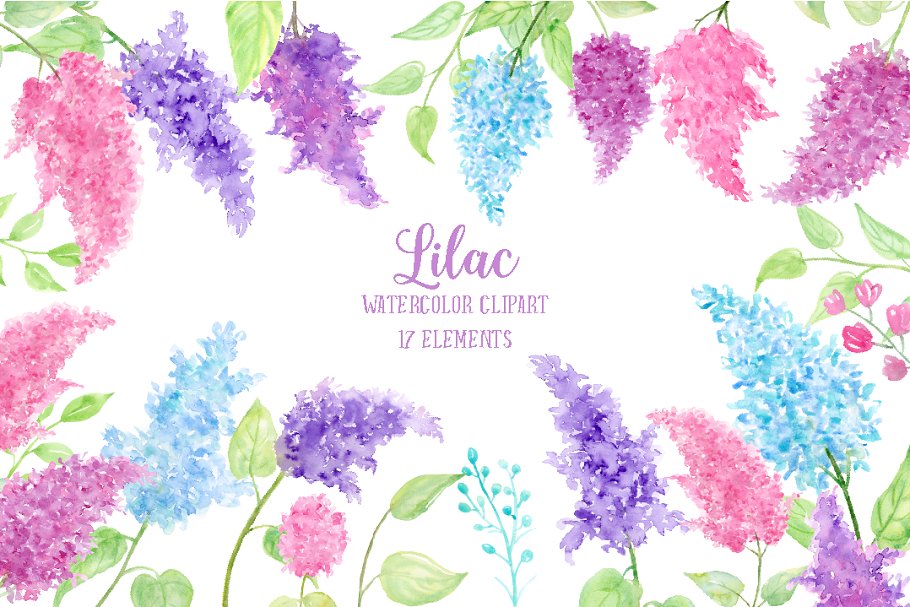 水彩丁香花剪贴画素材 Watercolor Lilac Flowers插图