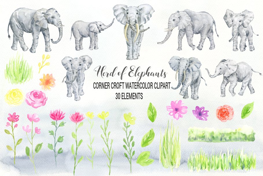 手绘灰白色大象插图 Watercolor Herd of Elephants插图(1)