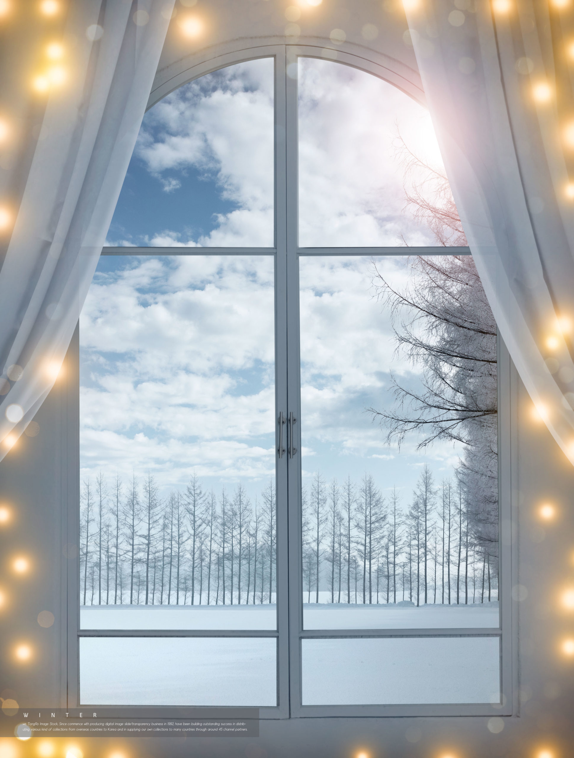冬天窗外美丽雪景背景图片psd素材插图