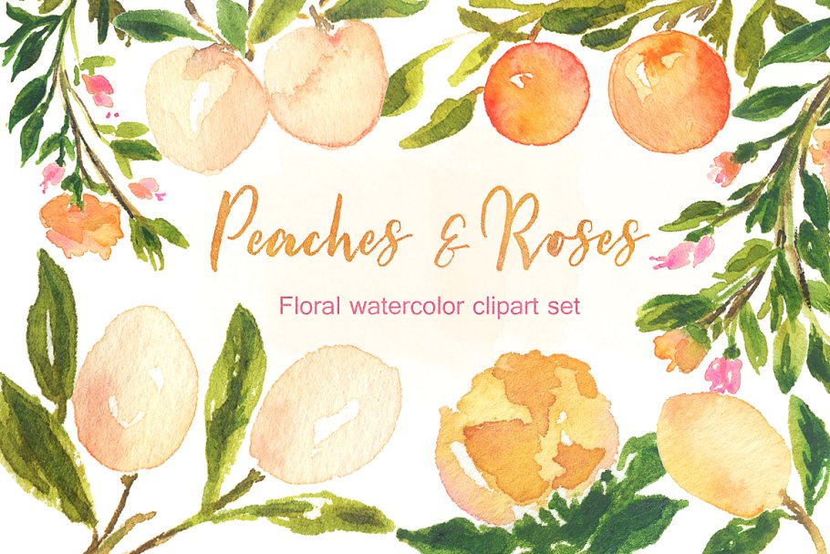 桃色和金色玫瑰水彩剪贴画 Peaches Roses and gold watercolor插图(2)