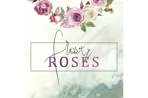 霜白玫瑰花水彩画设计素材 Frosty Roses Watercolor Flowers Set插图(5)