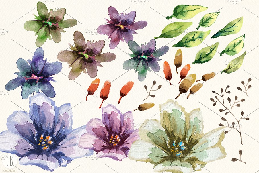 色彩丰富的水彩花园花卉剪贴画 Aquarelle watercolor garden flowers插图(1)