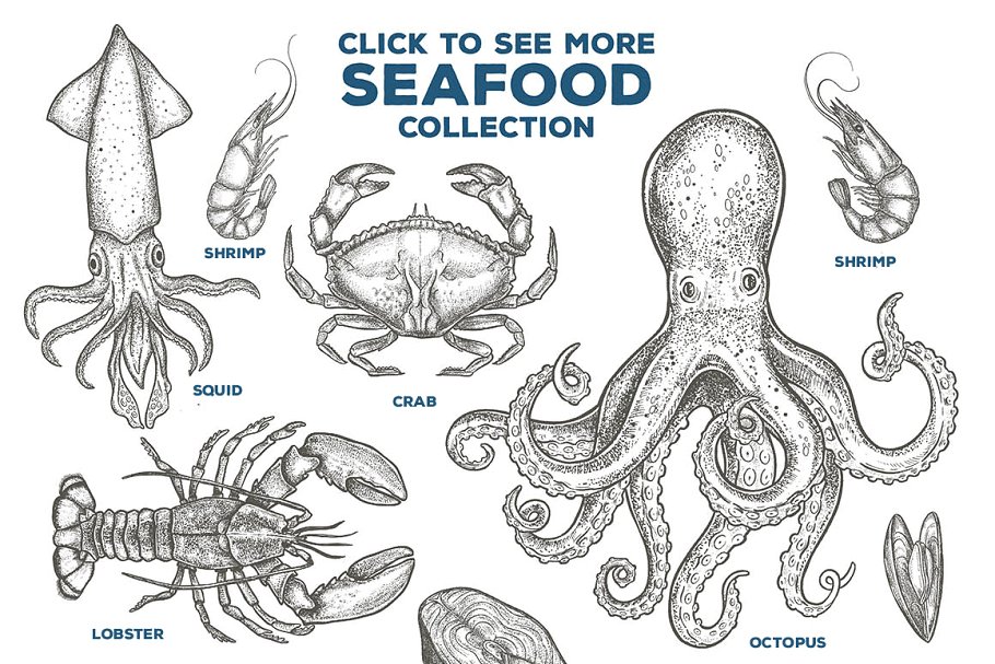 复古粗略风格的手绘海鲜插图合集 Seafood Illustrations插图(1)