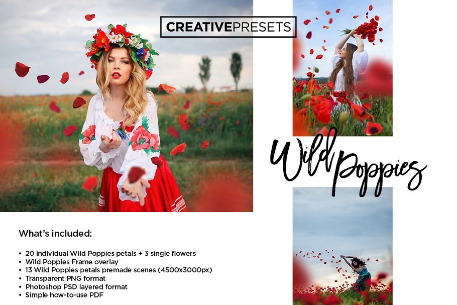 浪漫野生罂粟叶照片处理叠层 Wild Poppies Photo Overlays插图(2)