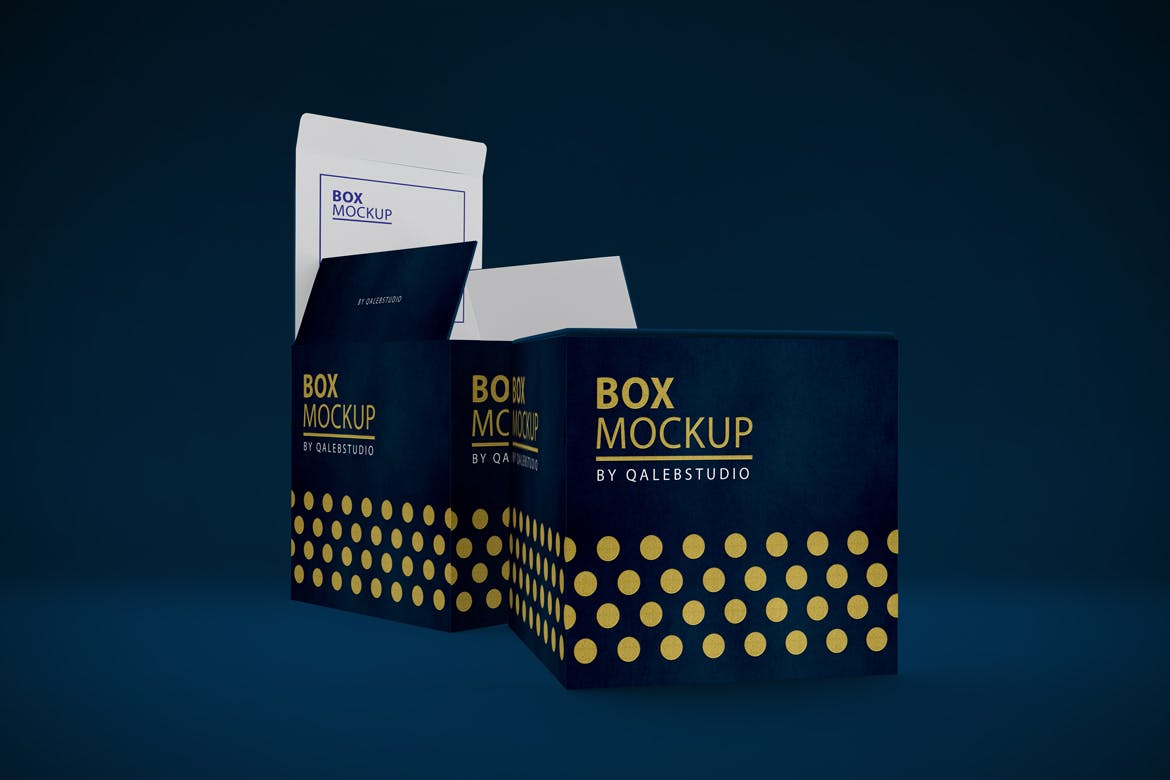 产品包装箱子外观设计多角度预览样机 Box MockUp插图(3)