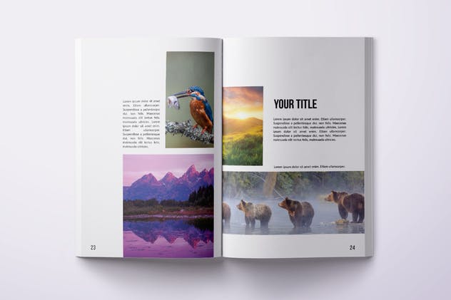 36页多用途A4规格企业画册产品目录设计模板 Multipurpose A4 Portfolio Design – 36 pages插图(6)