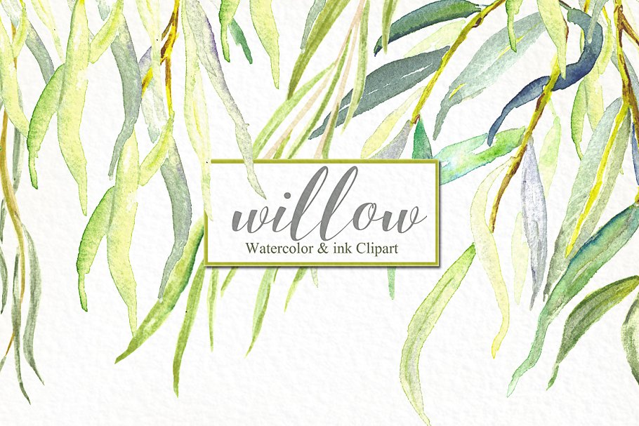 柳枝水彩剪贴画 Willow branches watercolor clipart插图