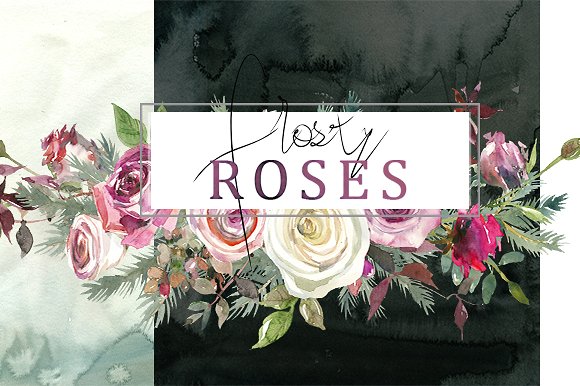 霜白玫瑰花水彩画设计素材 Frosty Roses Watercolor Flowers Set插图(7)