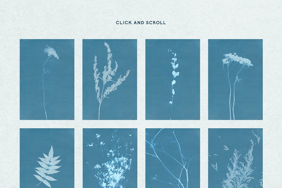 氰版风格花卉背景素材 FLORAL Cyanotype backgrounds插图(6)