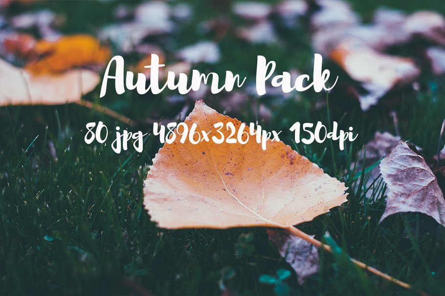 秋天主题高清风景照片素材 Autumn photo Pack插图(1)