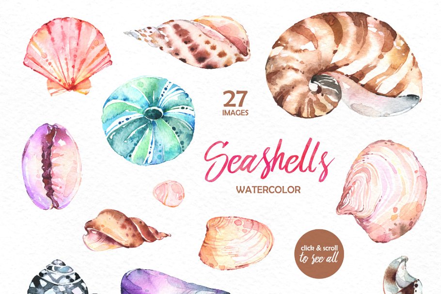 奇形怪状的贝壳水彩画素材集合 Seashells. Watercolor collection插图(1)
