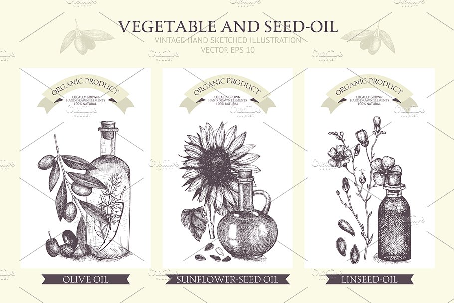 植物油相关设计素材包 Seed Oil Design Collection插图