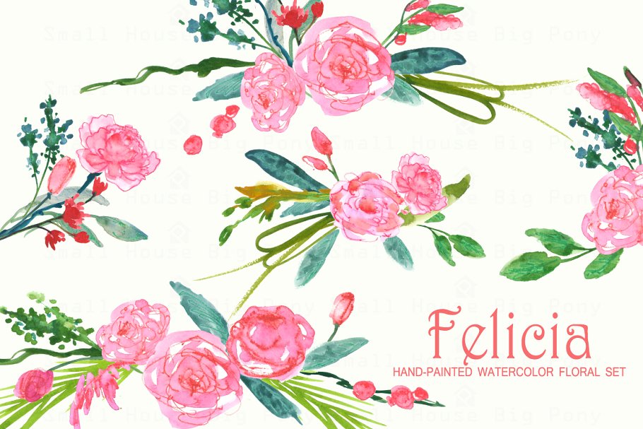 费利西亚艺术水彩花卉剪贴画 Felicia – Watercolor Clip Art插图(3)