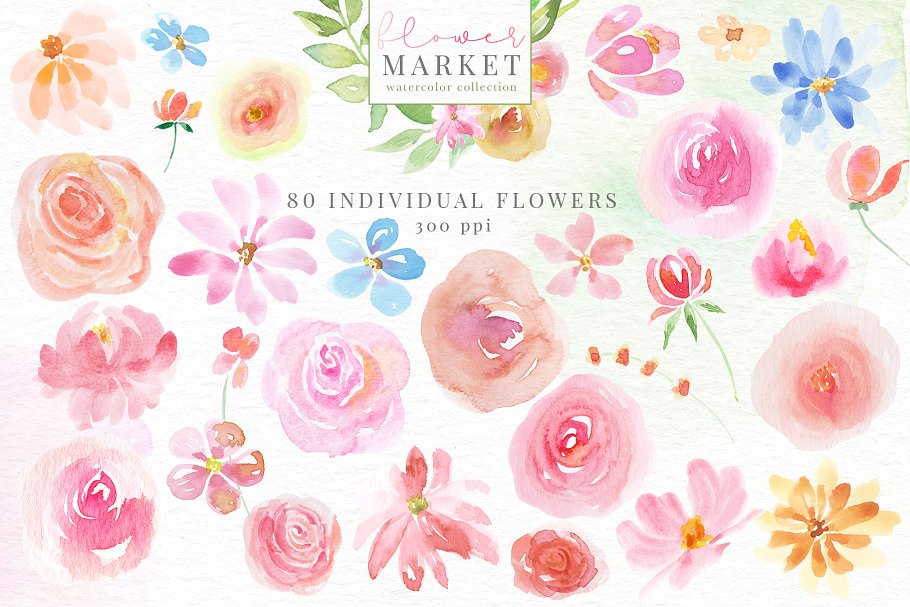 花卉市场水彩素材收藏[1.15GB] Flower Market Watercolor Collection插图(12)