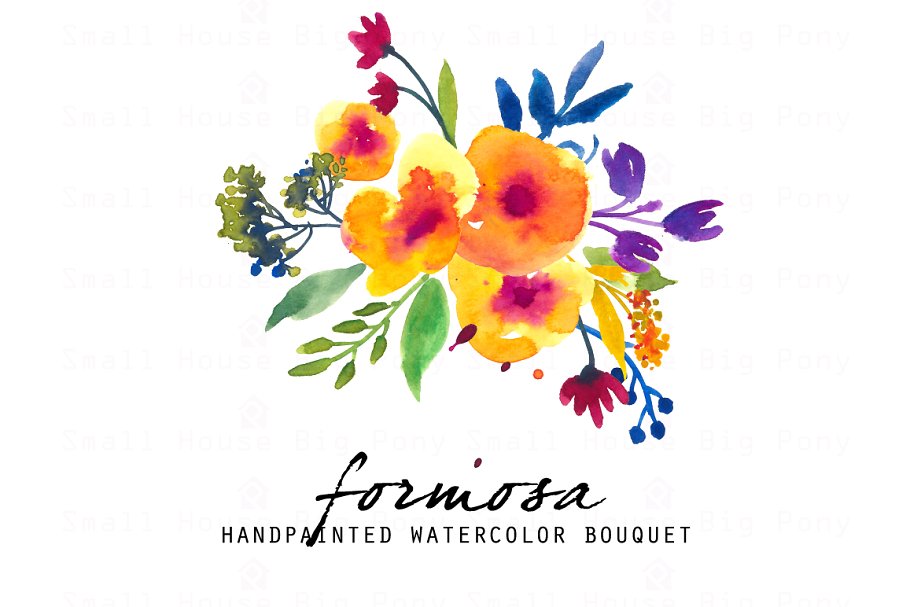 手绘夏日黄色水彩花卉插画素材 Formosa – Watercolor Clip Art Set插图