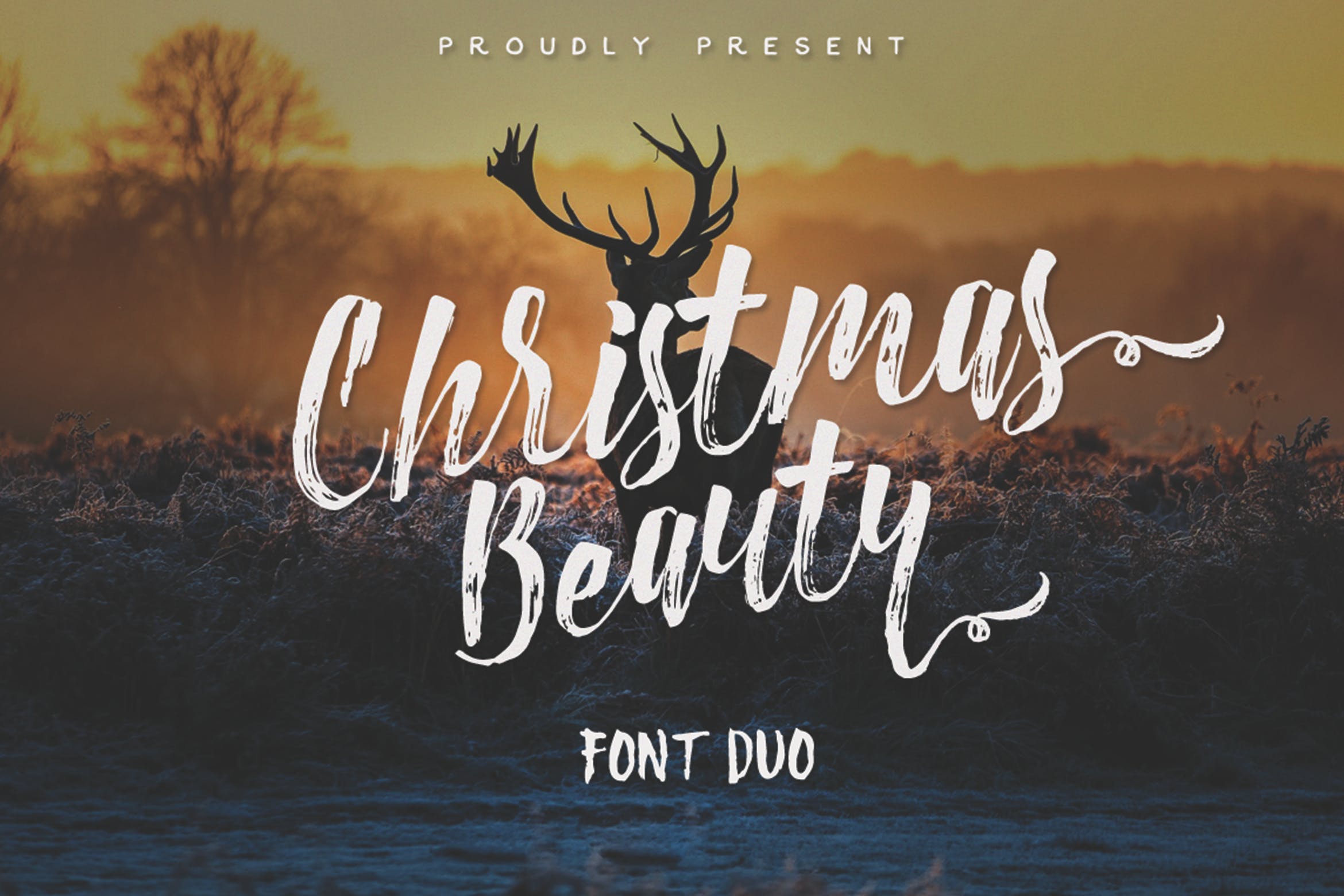 笔刷草书英文装饰设计字体下载 Christmas Beauty插图