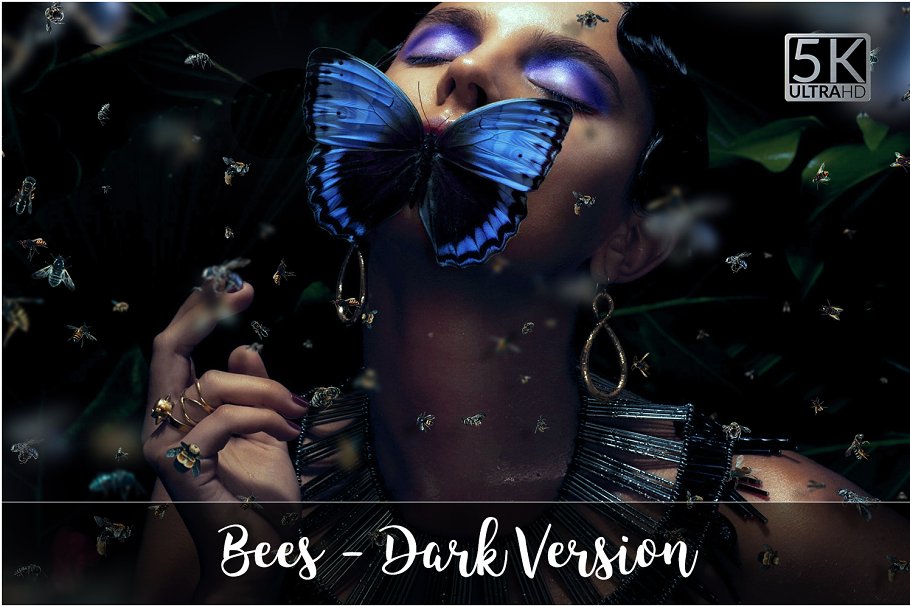 5K高分辨率逼真蜜蜂照片叠层背景素材 5K Bees Overlays – Dark Version插图