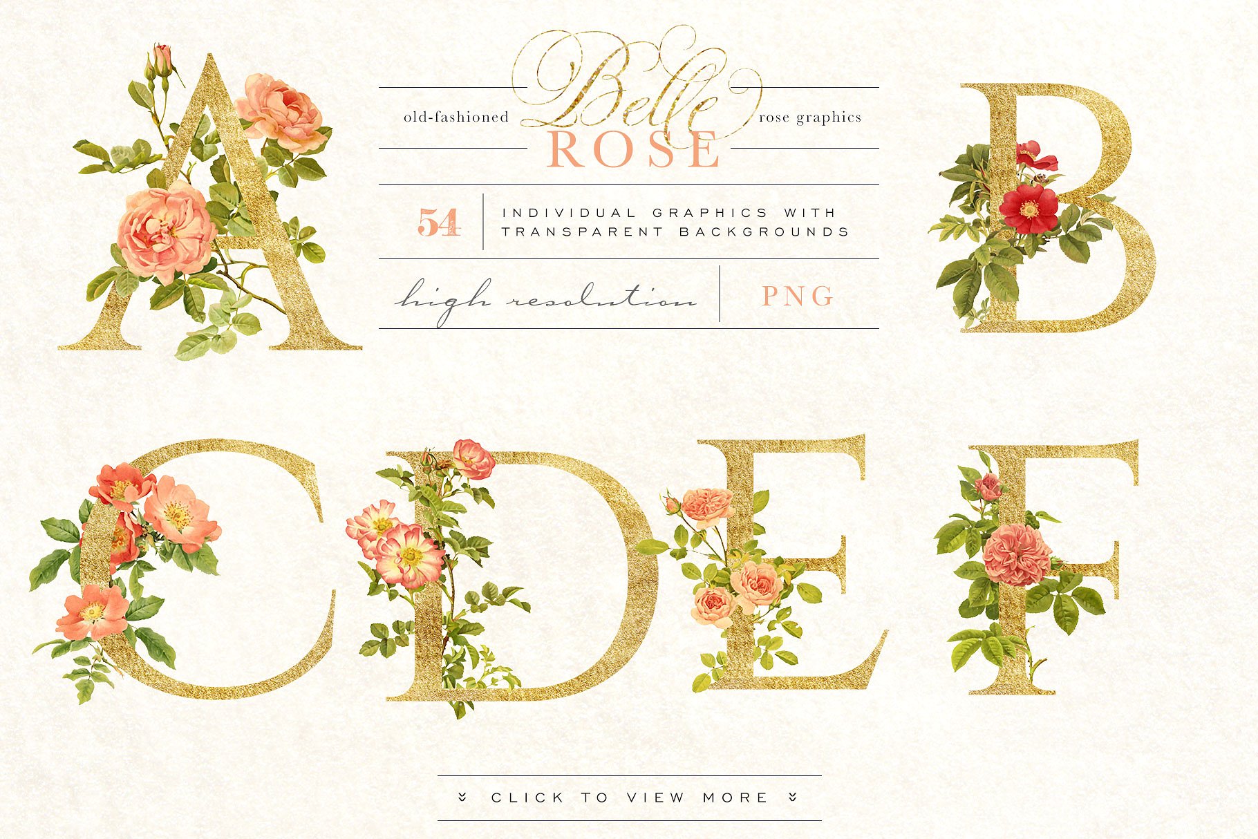 旧时尚老派水彩玫瑰花卉剪贴画合集 Belle Rose Antique Graphics Bundle插图(5)