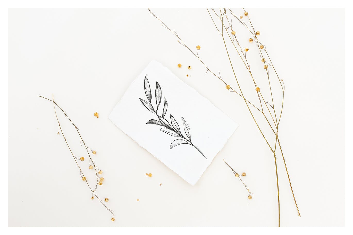 野花装饰背景卡片贺卡设计效果图样机 Wildflowers Cards Mockup插图(2)