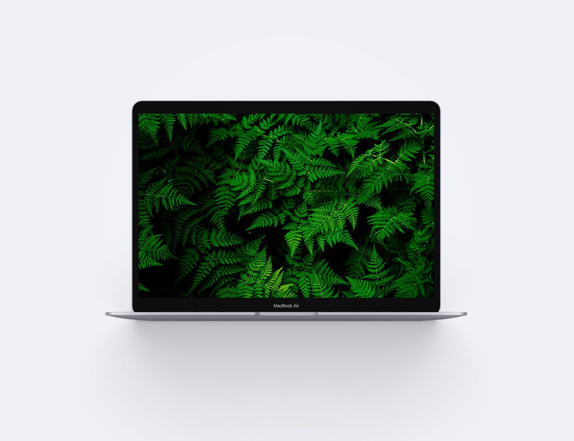 MacBook 2019版本Web网站设计案例展示样机 Macbook Air 2019 Mockup插图(3)