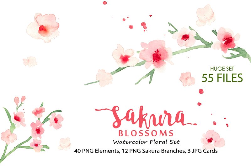 水彩樱花花卉插画素材合集 Sakura Blossoms – Watercolor Clipart插图(1)