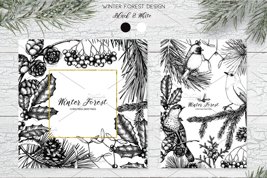 手绘冬天森林元素 Winter Forest Hand Drawn Elements插图(5)