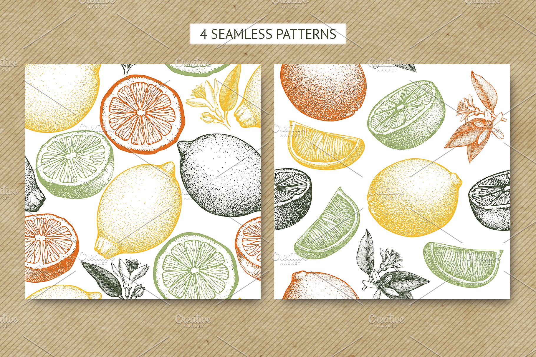 矢量柑橘水果插图 Vector Citrus Fruits Illustrations插图(7)
