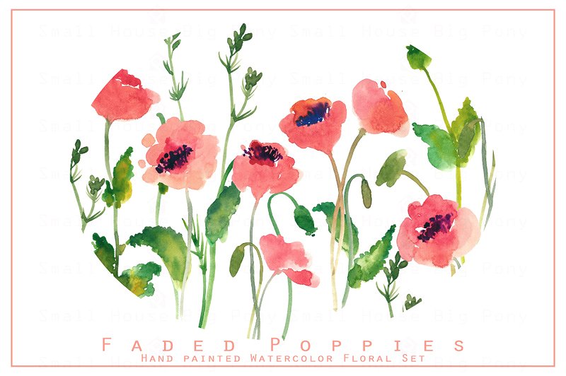 优雅水彩手绘罂粟花矢量插画 Faded Poppies-Watercolor Clip Art插图(1)