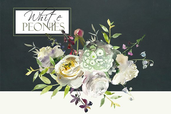 白色水彩花卉剪贴画 Watercolor White Flowers Clipart插图(2)