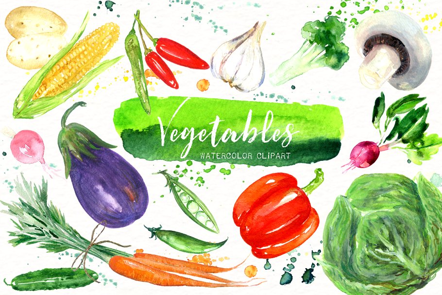 素材素食水彩剪贴画 Vegetables. Vegan Watercolor clipart插图