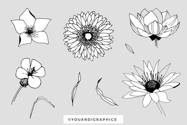 创意手绘花卉插画图案纹理素材 Graphic Flowers Patterns & Elements插图(15)