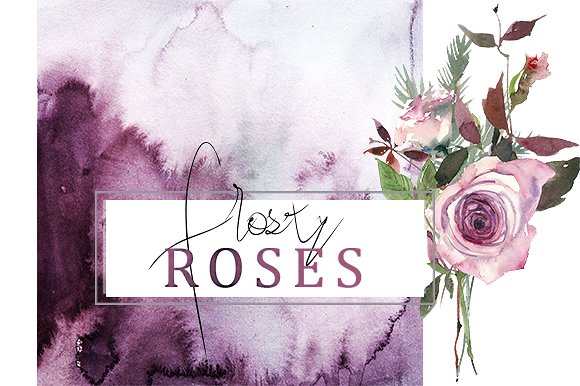 霜白玫瑰花水彩画设计素材 Frosty Roses Watercolor Flowers Set插图(8)