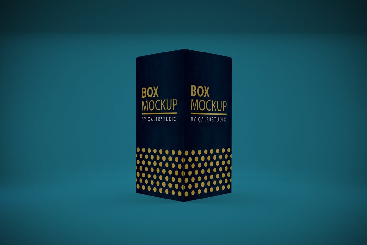 长方体高端产品包装盒外观设计样机模板 Rectangle Box插图(4)