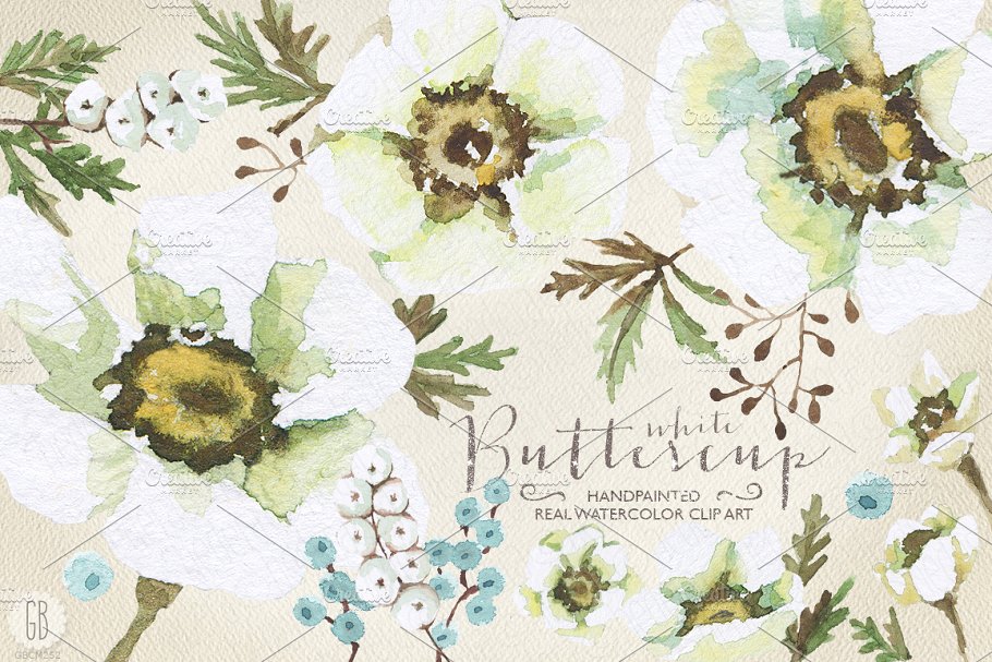 手绘逼真水彩花卉图像合集 Aquarelle white buttercup插图