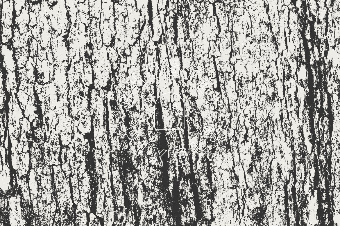 5款逼真树皮纹理肌理矢量背景素材 Tree Bark Textures插图(6)