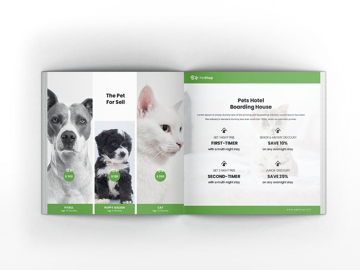宠物店/宠物医院方形宣传册设计模板 Pet Shop Square Brochure Template插图(9)