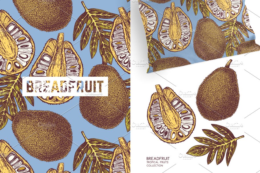 热带水果和植物图案纹理 Tropical Fruits & Plants Patterns插图(1)