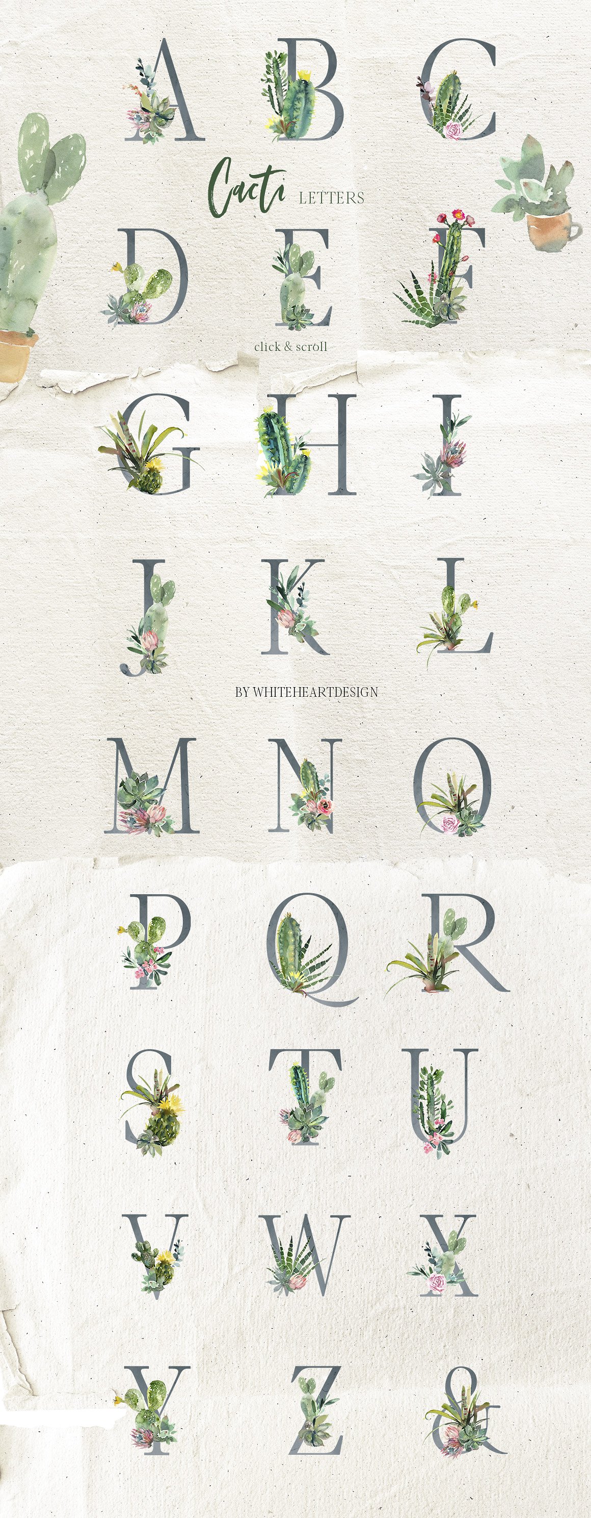 仙人掌水彩剪贴画 Cacti Watercolor Cactuses Clipart插图(4)