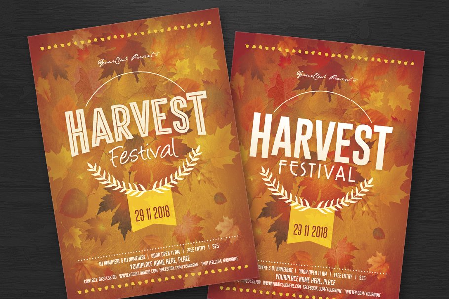 收获感恩节传单海报模板 Harvest Festival Flyer插图(1)