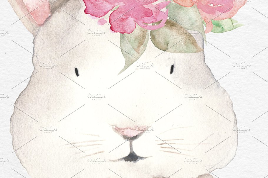 水彩动物和花卉剪贴画 Watercolor Animals, Flowers Clipart插图(6)