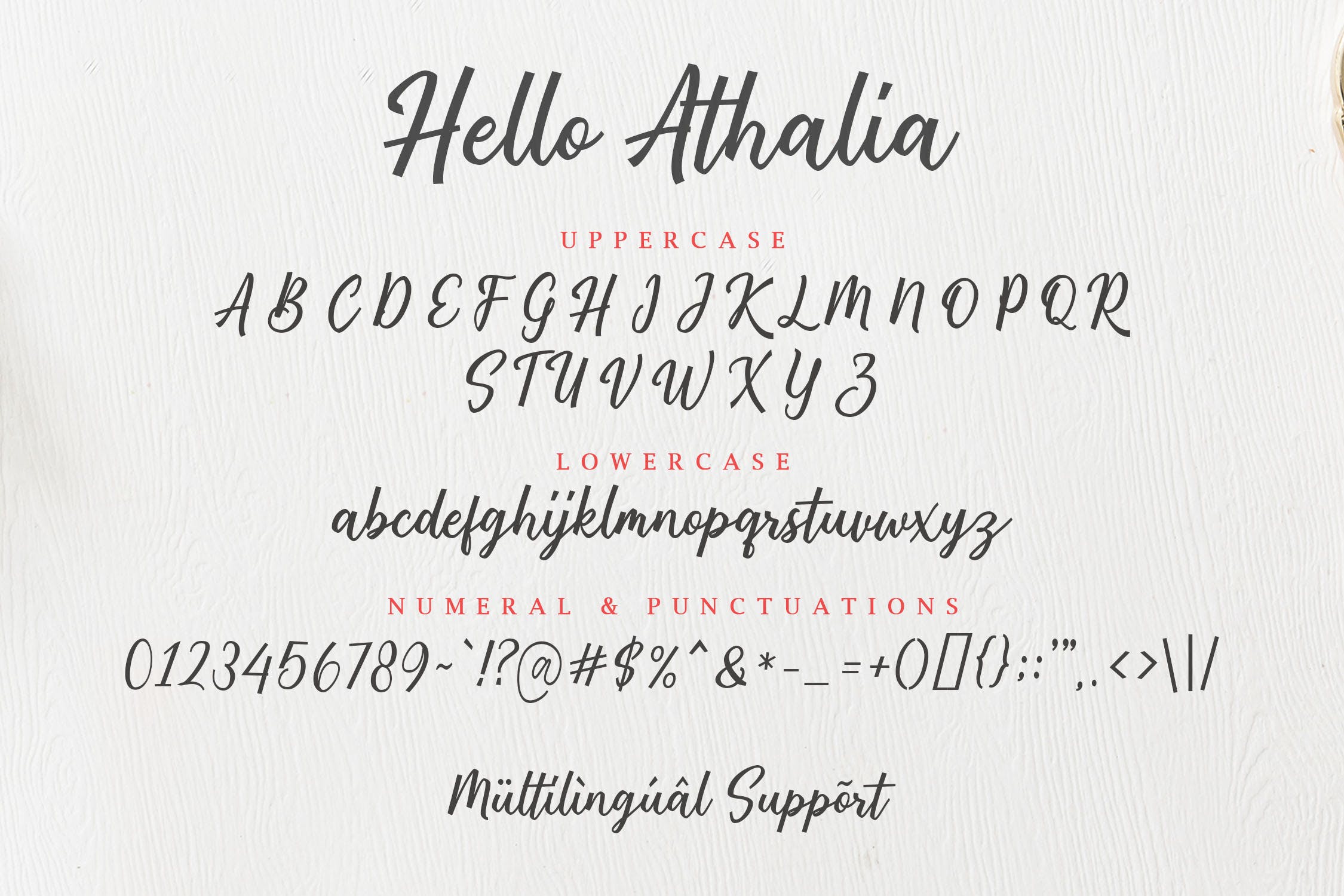 现代浪漫英文书法设计字体下载 Hello Alitha插图(5)