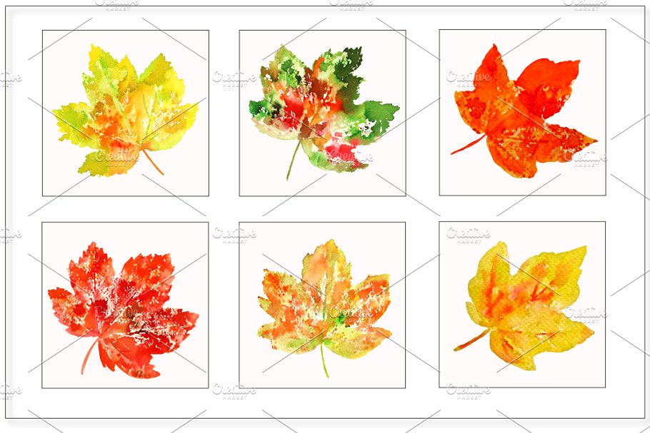 水彩多彩树叶剪贴画 Watercolor Colorful Leaves Clipart插图(2)