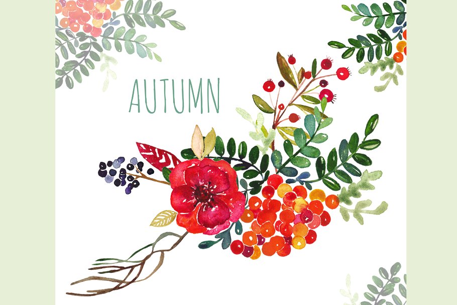 秋天成熟的果实水彩剪贴画 Autumn. Watercolor clip art.插图(3)
