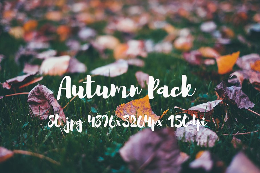 秋天主题高清风景照片素材 Autumn photo Pack插图(5)